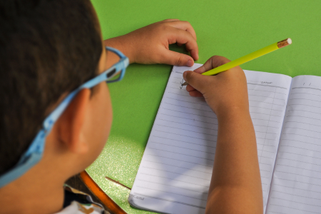 Hand Writing & Reading Specific Programs